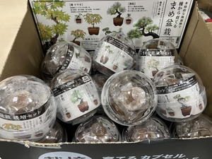 Image_20250828_163736_591.jpeg